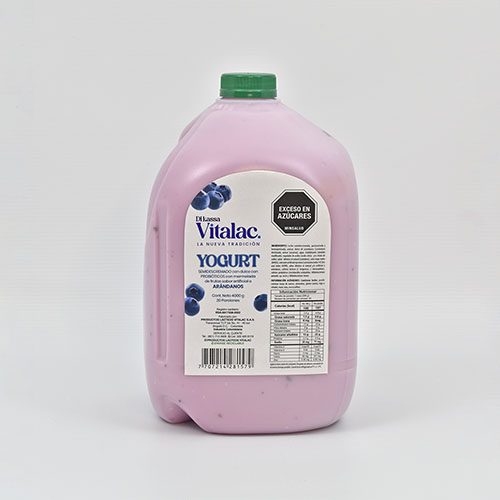 Productos-Lacteos-Vitalac-Yogurt-Semidescremado4000g-Arandanos-1-Tienda